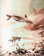 Channel Catfish T-Shirt