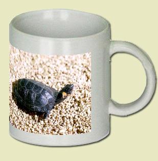 Bog Turtle Coffee Mug