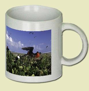 Frigatebird Coffee Mug