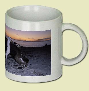 Laysan Albatross Coffee Mug