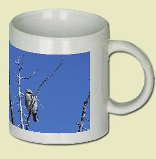 Loggerhead Shrike Coffee Mug
