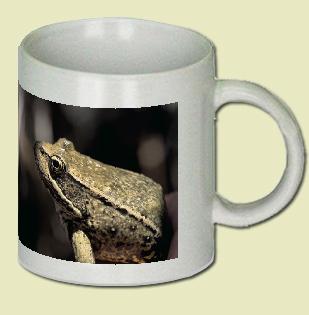 Red legged frog Coffee Mug