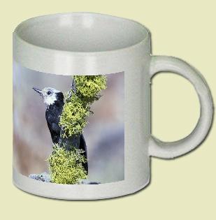 White-headed Woodpecker Coffee Mug
