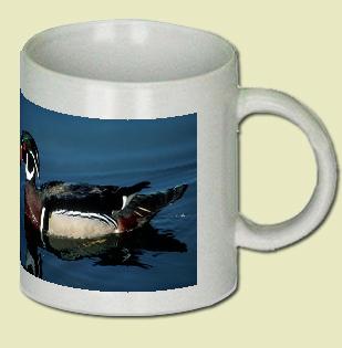 Wood Duck Coffee Mug