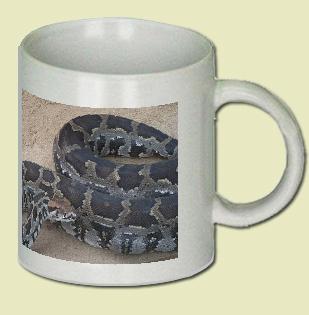 Indian Rock Python Coffee Mug