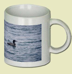 Common Loon Coffee Mug
