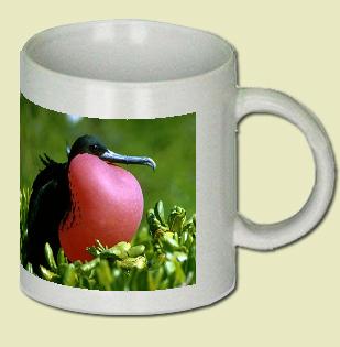 Magnificent Frigatebird Coffee Mug