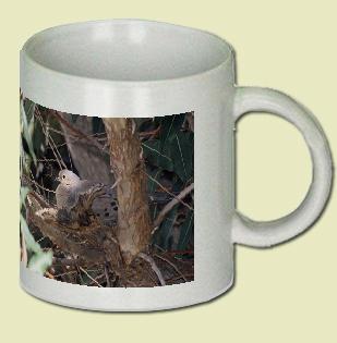 Mourning Dove Coffee Mug