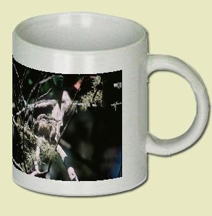 Pygmy Nuthatch Coffee Mug