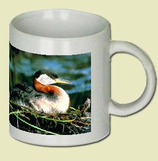 Red-necked Grebe Coffee Mug