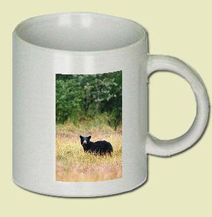 Alaskan Black Bear Coffee Mug