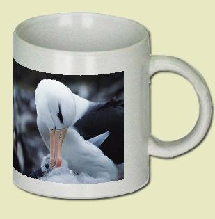 Black Browed Albatross Coffee Mug