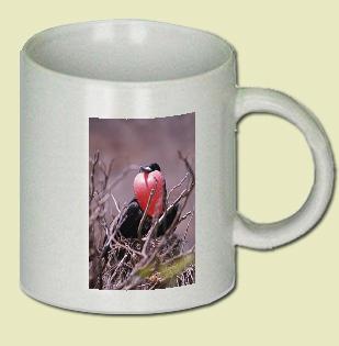 Frigatebird Coffee Mug