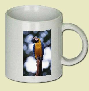 Macaw Coffee Mug