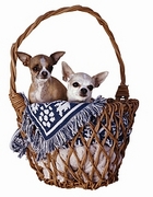 Chihuahua T-Shirt