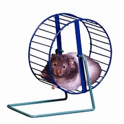 Hamster Magnet