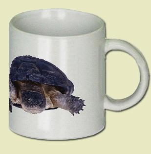 Turtle Coffee Mug