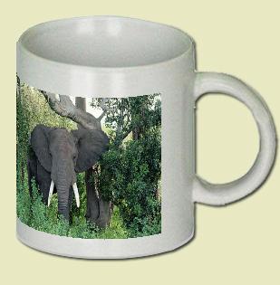 African Elephant Coffee Mug