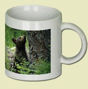Bear Coffee Mug
