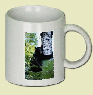 Bear Coffee Mug