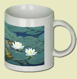 Bull Frog Coffee Mug
