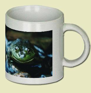 Bull Frog Coffee Mug