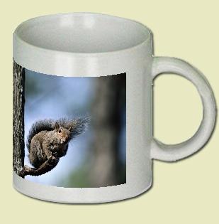 Gray Squirrel Coffee Mug