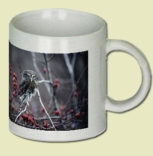 Pygmy Owl Coffee Mug