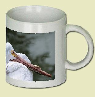 White Pelican Coffee Mug