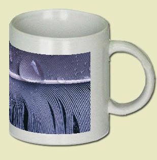 Wet Feather Coffee Mug