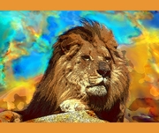 African Lion Mousepad