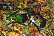 Beetles Mousepad