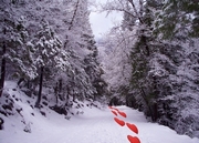Winter Mousepad
