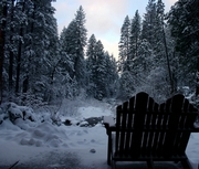Winter Poster