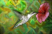 Hummingbird Mousepad