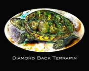 Terrapin Mousepad