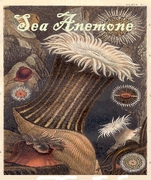 Sea Anemone Mousepad