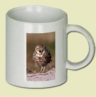 Burrowing Owl Coffee Mug