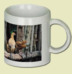 Hen Coffee Mug