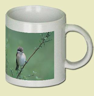 Shrike Coffee Mug