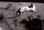 Kitty Cat picture