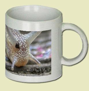 Snail Coffee Mug