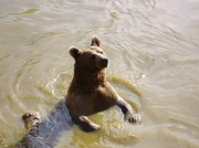 Bear Mousepad