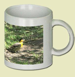 Field Flicker Coffee Mug