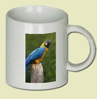Macaw Coffee Mug
