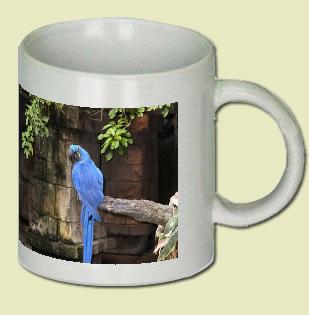 Macaw Coffee Mug