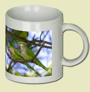 Monk Parakeet Coffee Mug
