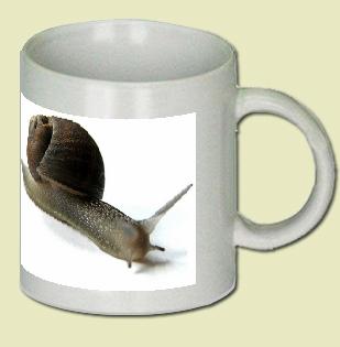 Snail Coffee Mug