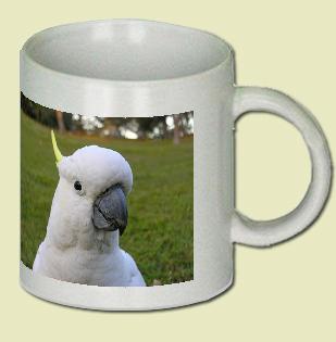Sulphur Crested Cockatoo Coffee Mug