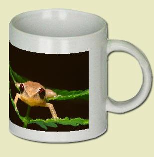 Frog Coffee Mug